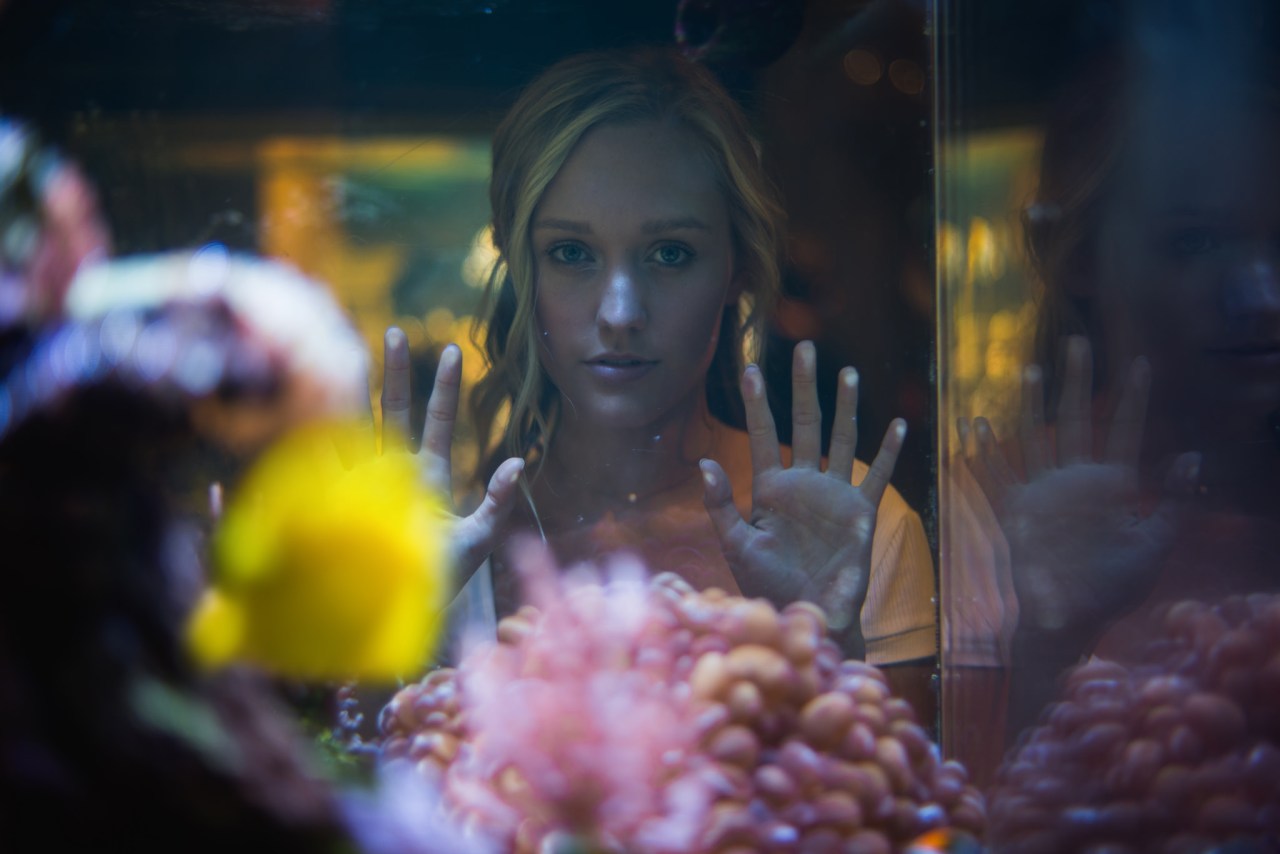 Girl pressed against glass of fish tank sea creatures beautiful colors, fascinated, interested