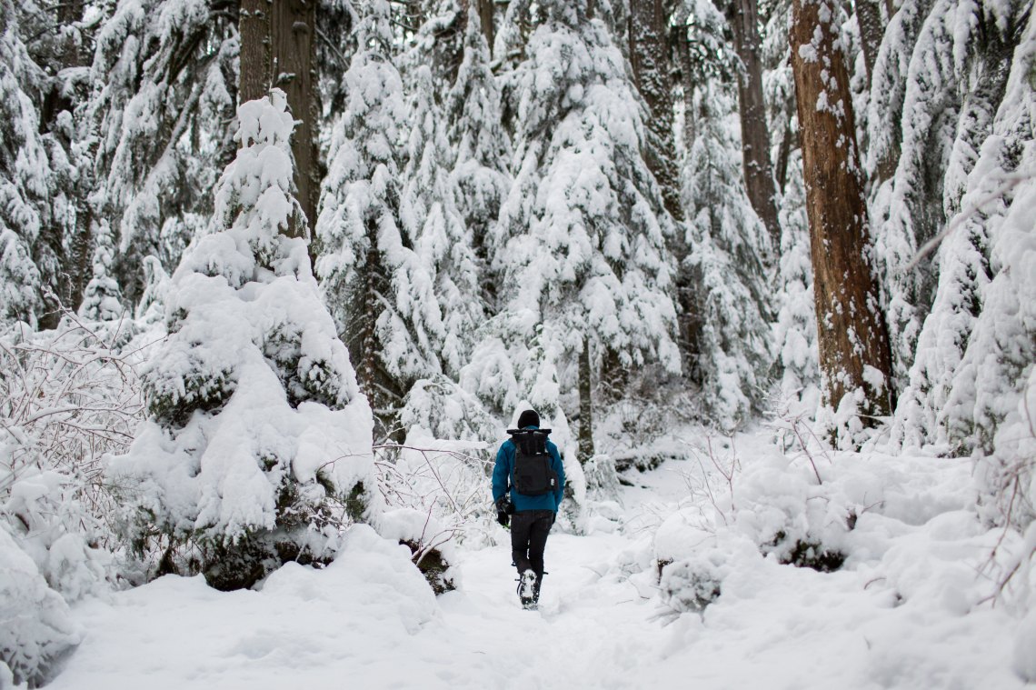 person wandering through the snow
