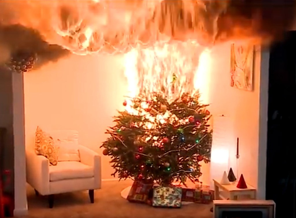 The Little Christmas Tree That Kept Catching On Fire