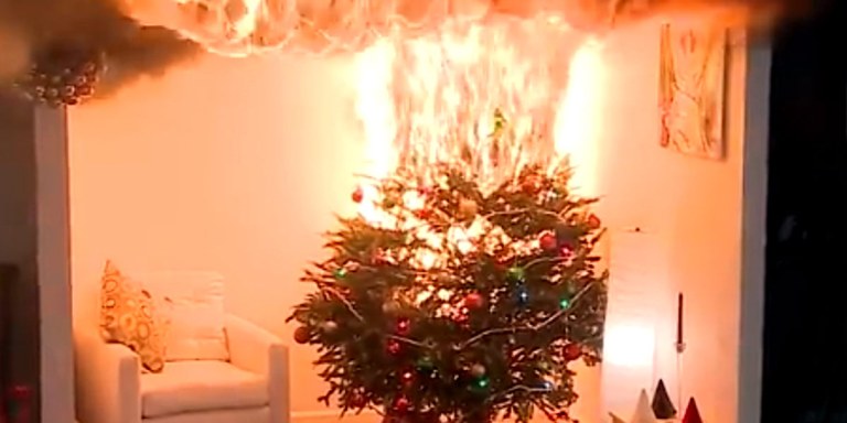 The Little Christmas Tree That Kept Catching On Fire