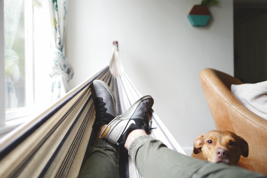 man in a hammock with a dog watching him