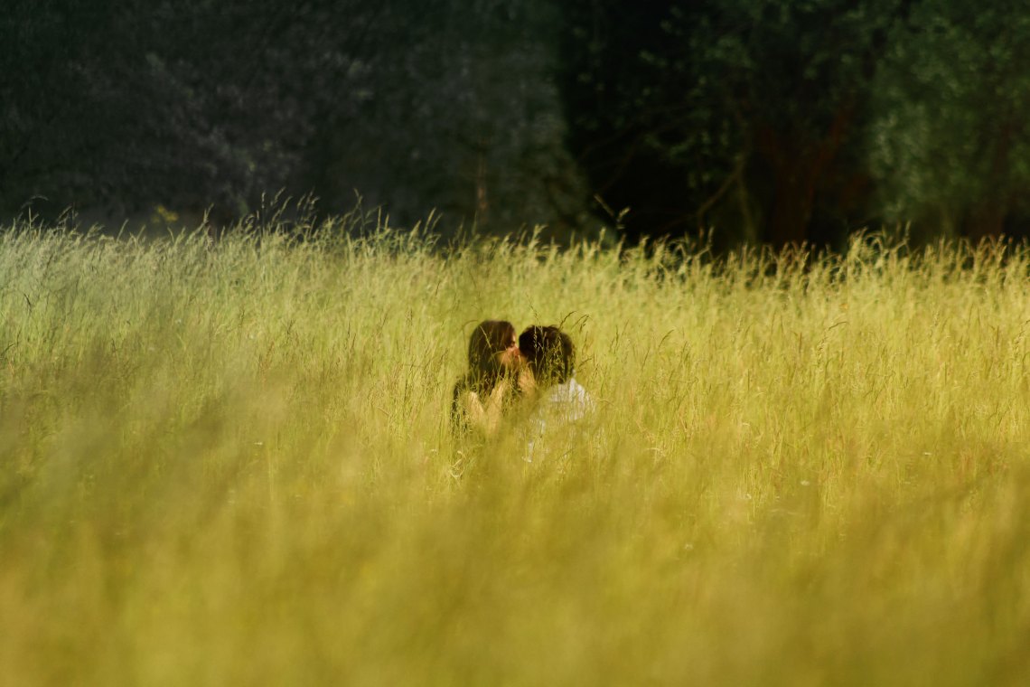 couple kissing in a field