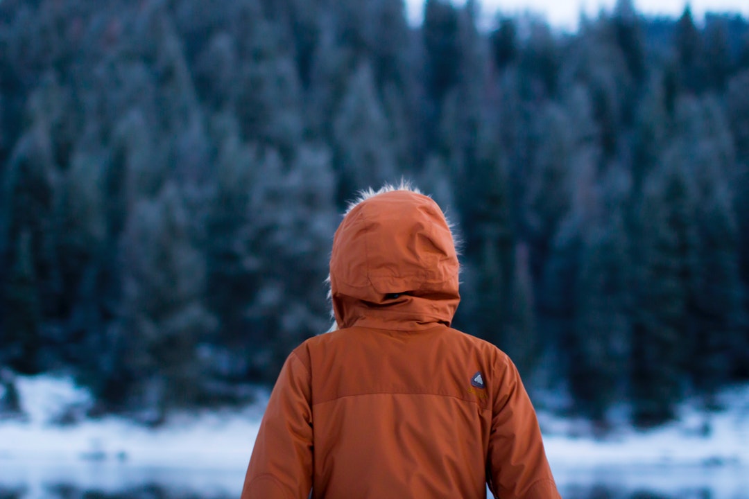 Person in orange parka looks out at the snow and evergreen trees