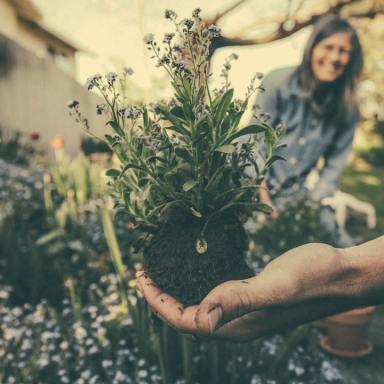 5 Things Gardening Can Teach You About Self-Care