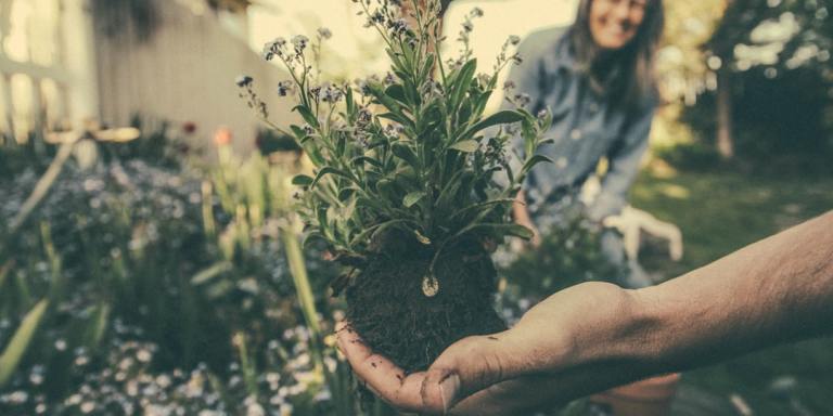 5 Things Gardening Can Teach You About Self-Care