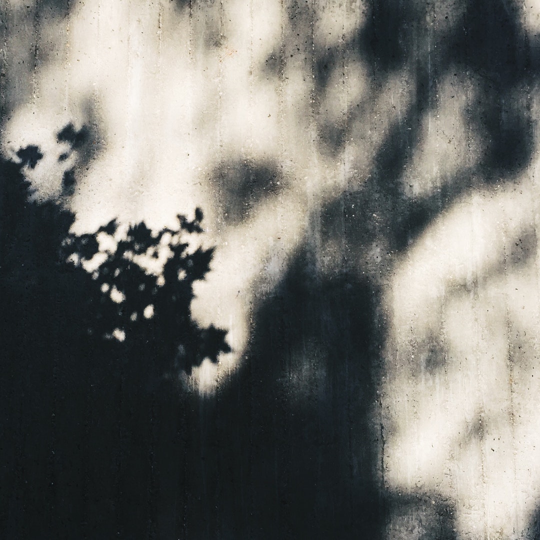 Shadows fall on gray cement wall