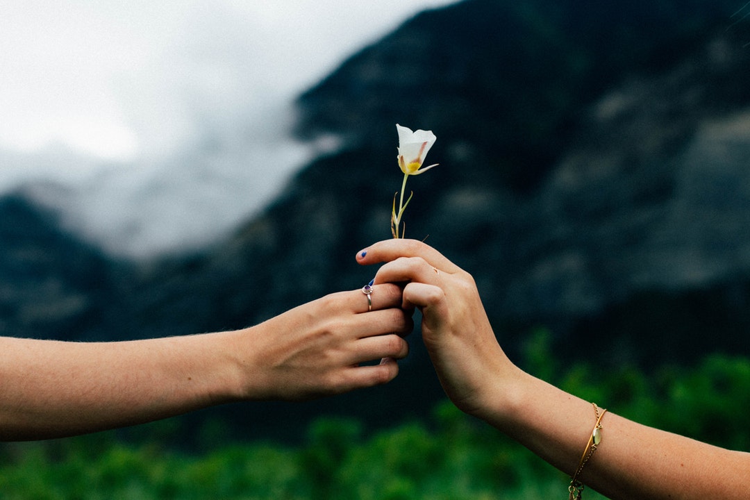 A flower being passed romantically from hand to hand