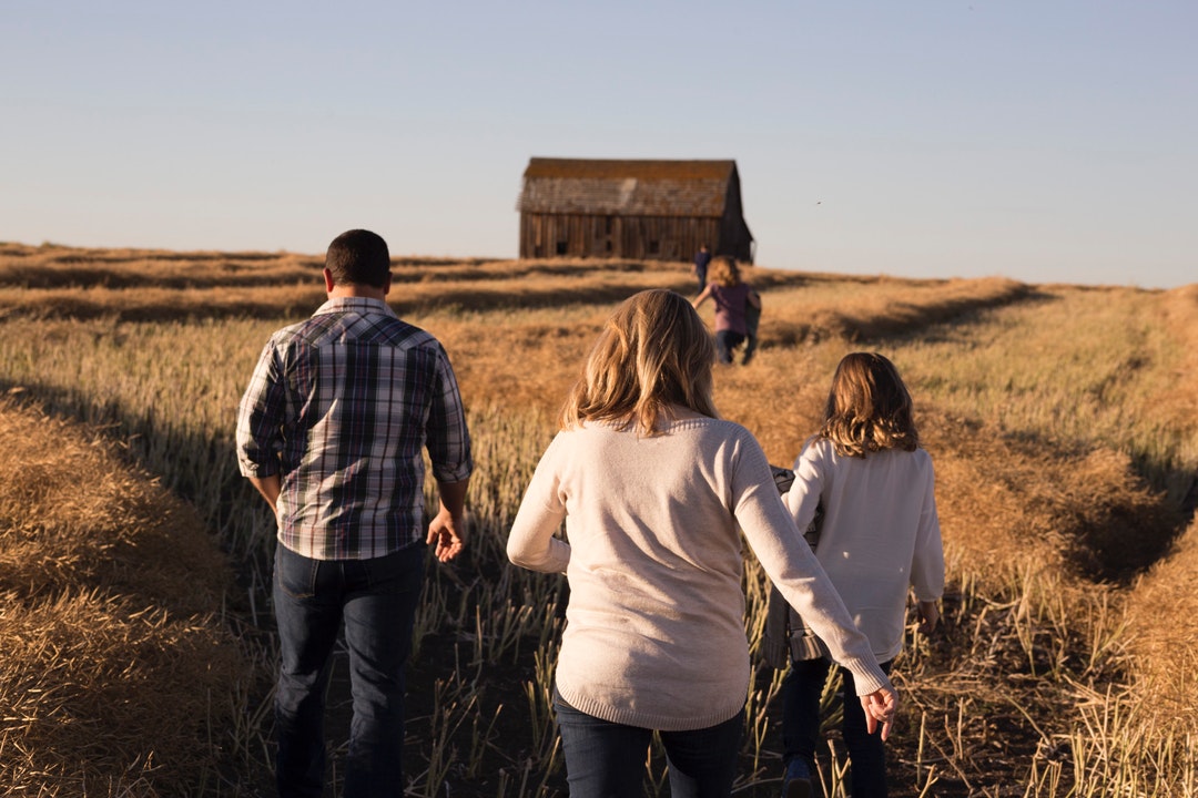 A family walking through a golden field towards a barn