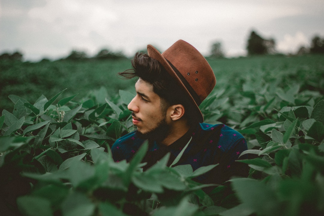 Man in a hat peeks head over a field of leaves