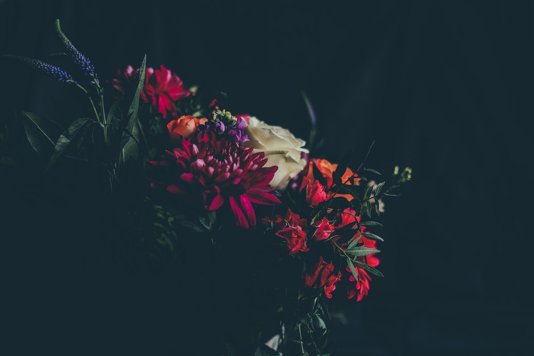 A dim shot of various flowers in intense colors