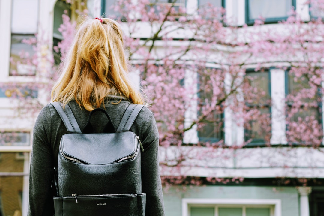A woman with a black leather backpack standing back to camera near cherry blossom trees