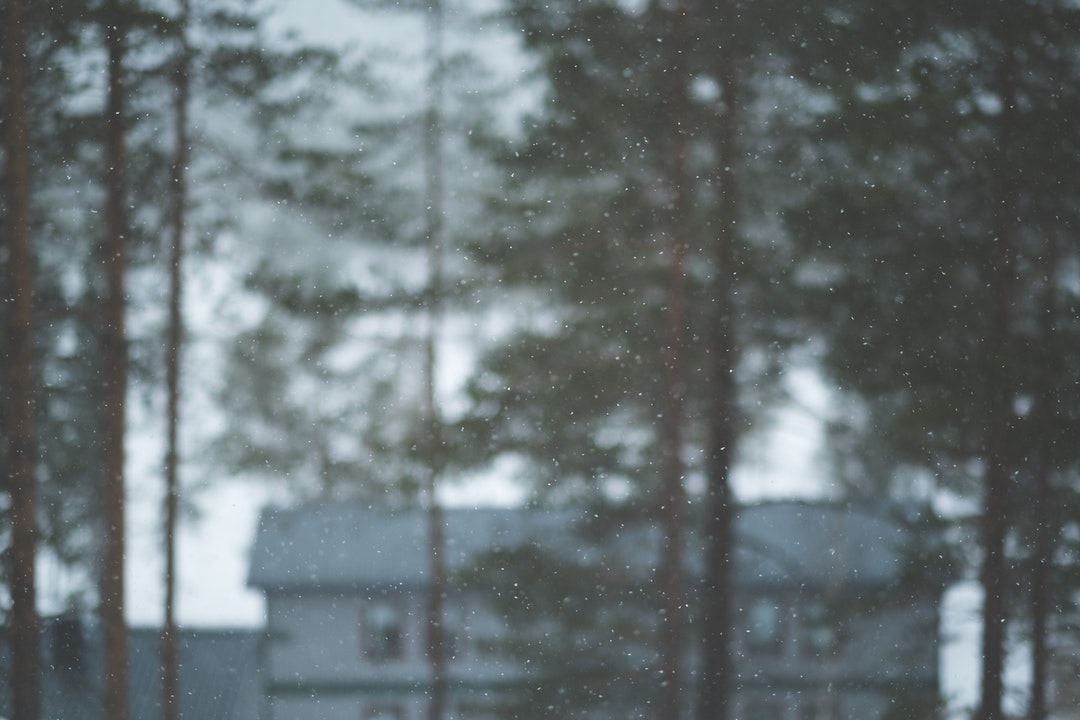 Snowflakes falling in the foreground with tall trees and a house out of focus in the background