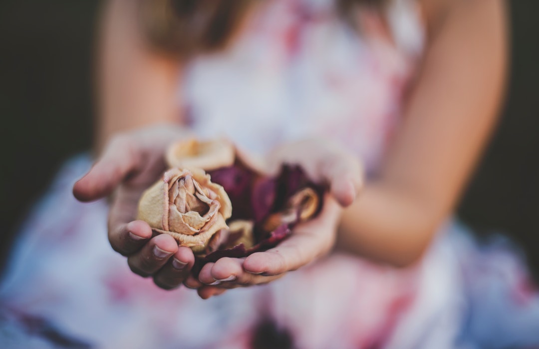 A woman's cupped hands holding a dried rose and other flower petals