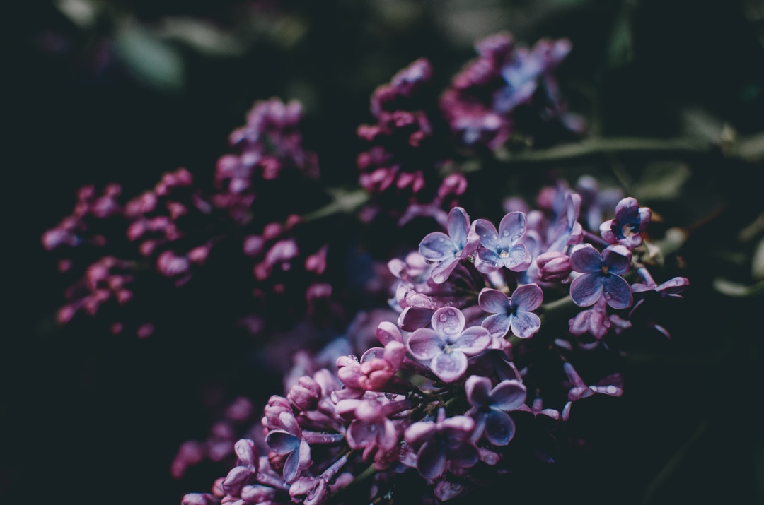 null