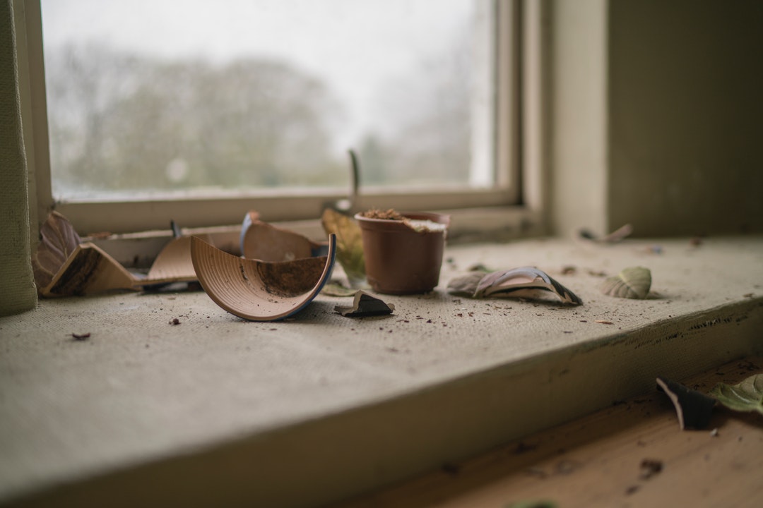 A shattered flowerpot on a windowsill
