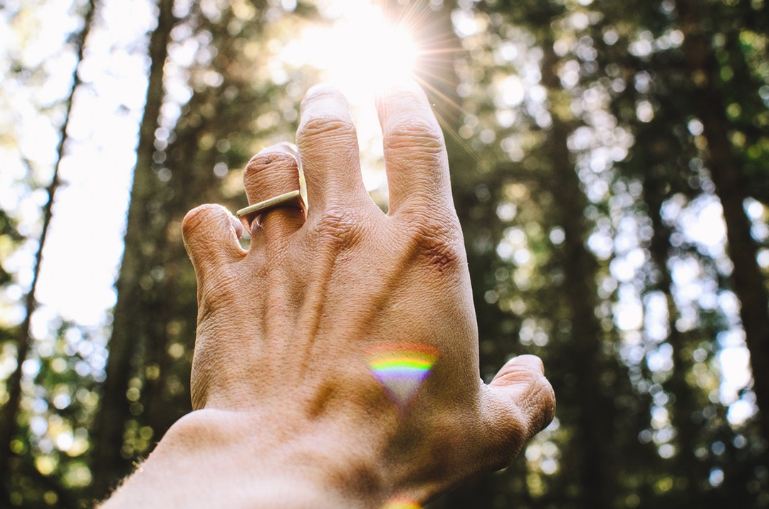 A hand with rings on it reaching out towards the trees
