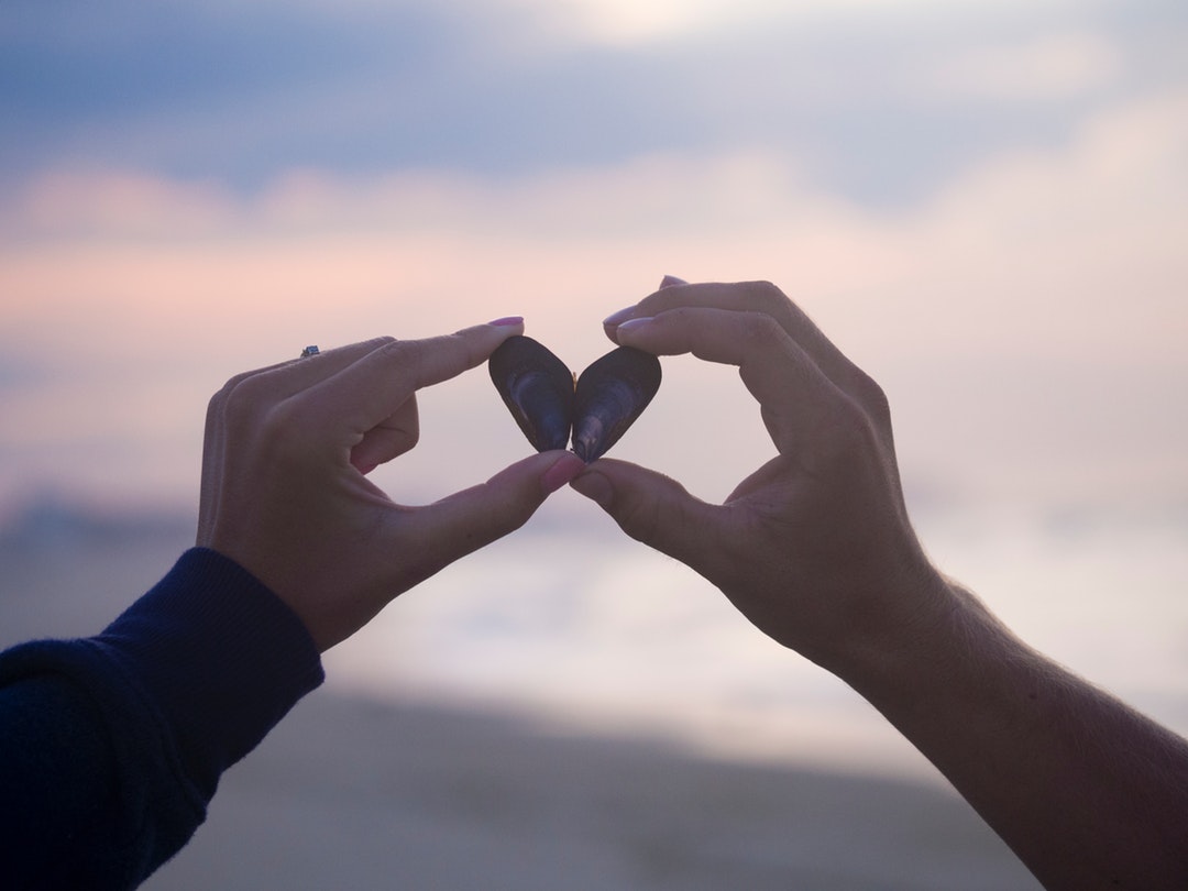 A couple holding two small shells next to each other to form a heart shape