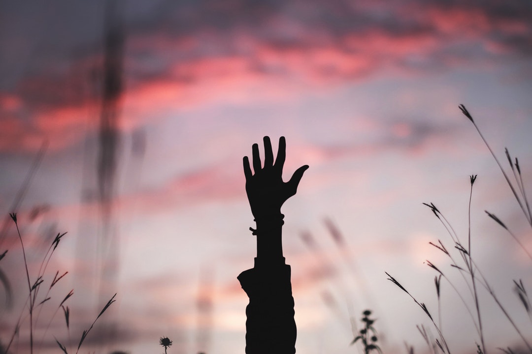 The silhouette of a hand and arm being raised against a purple and pink sky in a field