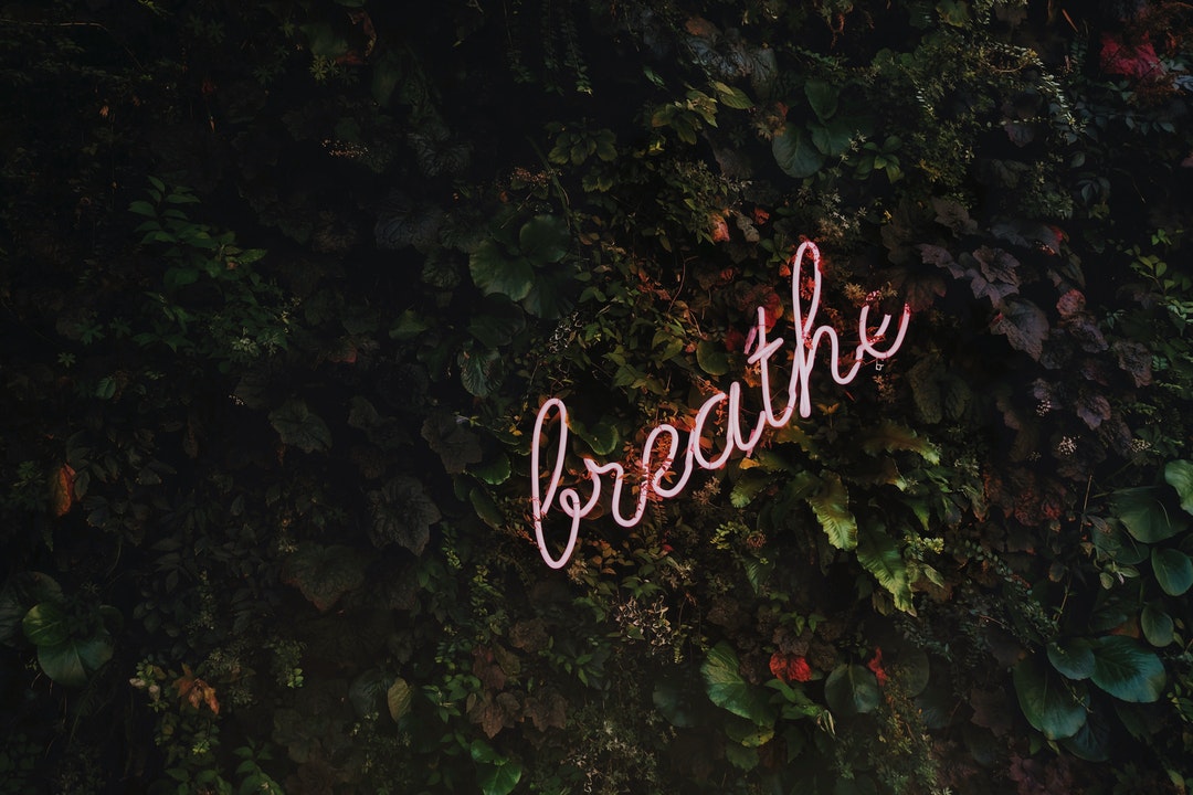 A neon on a hedge reads “breathe”