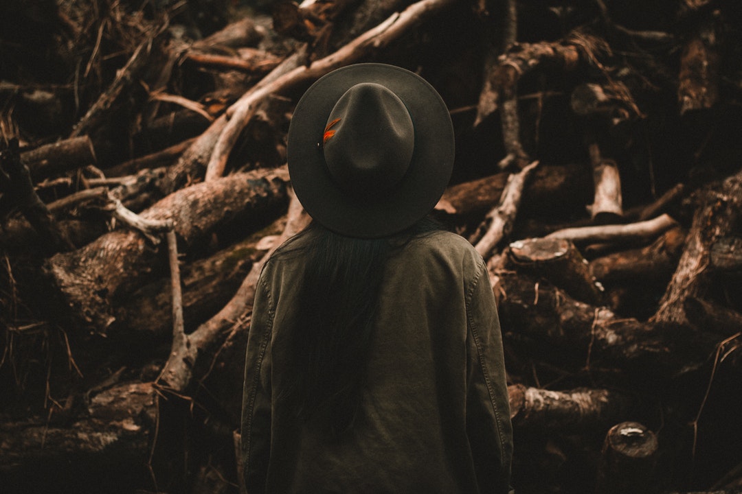A person in a hat faces away from the camera looking at fallen trees