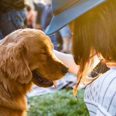 I’m Your Dog, Not Your Child