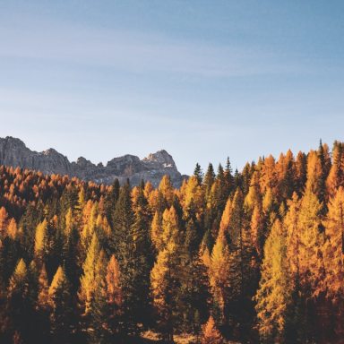 10 Simple And Fun Activities To Fall For This Autumn