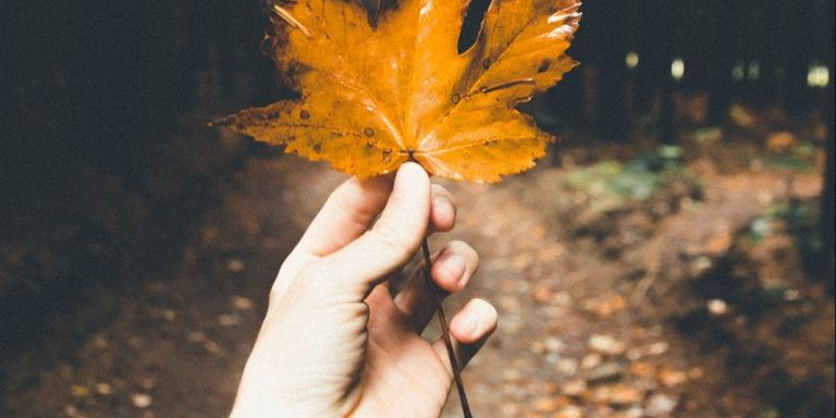 Here’s Why Autumn Is An Introvert’s Dream Come True