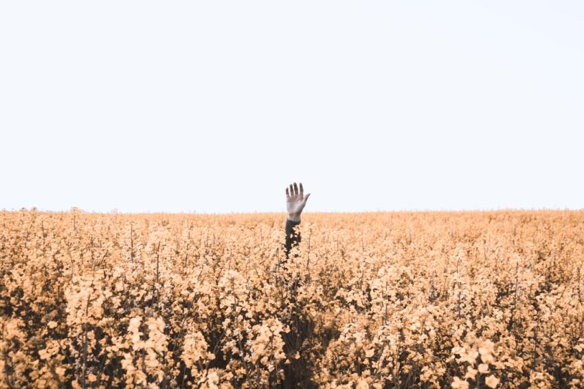 When You Feel Lost, Ask The Universe For A Sign