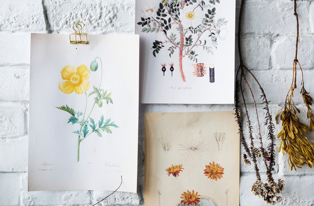 assorted flowers painting