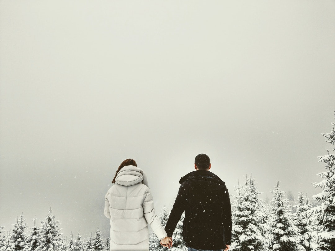 couple holding hands in front of trees