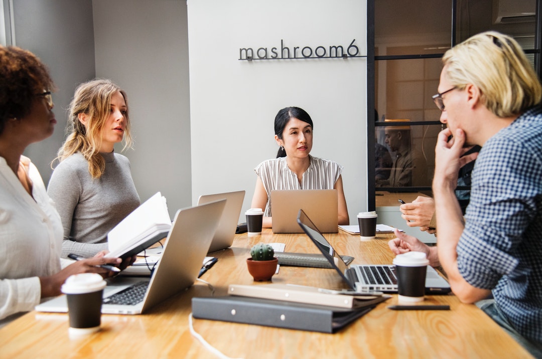 people sitting infront of the table with laptops