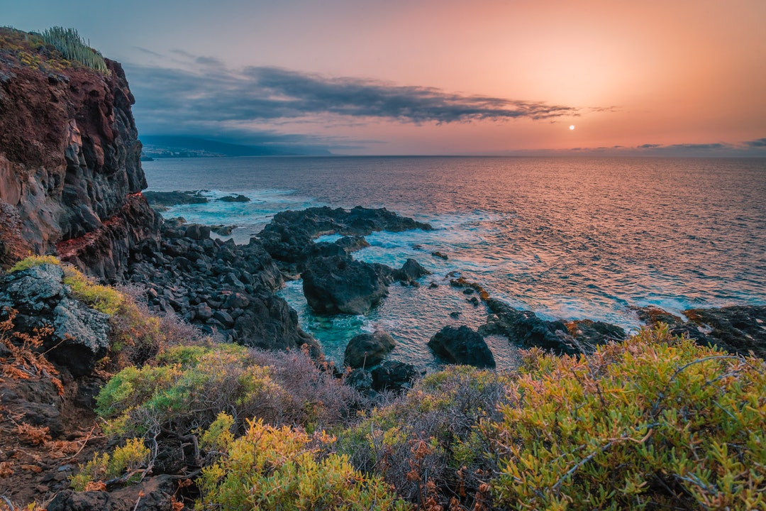 rock formation and shrubs beside sea at daytime
