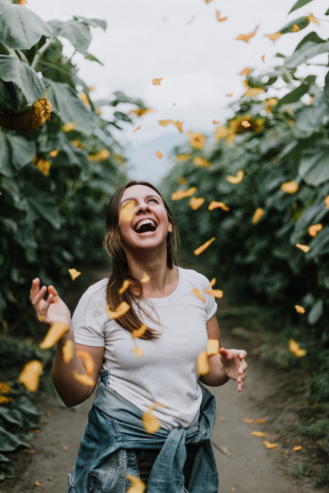 woman standing between sunflowers during daytime