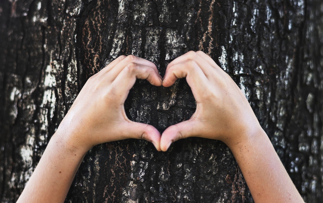 person's hands doing heart signage