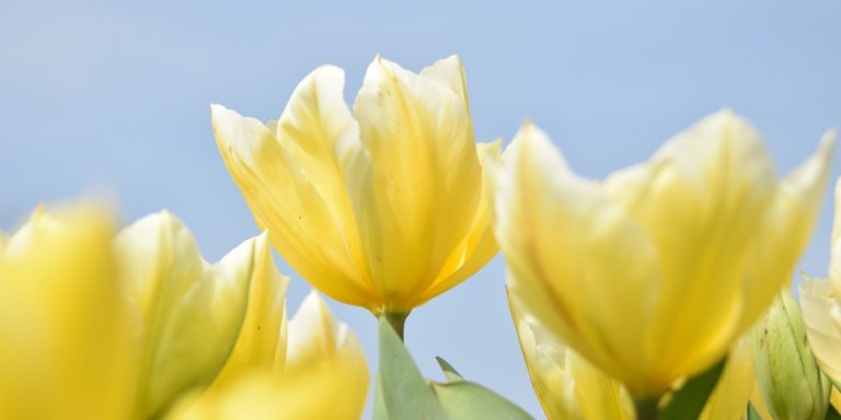 4 Ways To Help Your Body Transition Into Spring, As Told By An Acupuncturist