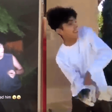 There’s A New Viral ‘Trend’ Where People Throw Their Cats As Far As They Can And It’s Super Fucked Up