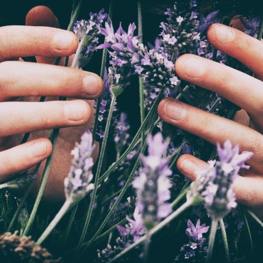 girl with lavender