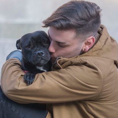 The Way Your Dog Thinks (Based On Their Zodiac Sign)