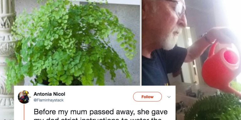 This Woman’s Dying Wish To Her Husband Turned Out To Be A Hilarious Prank