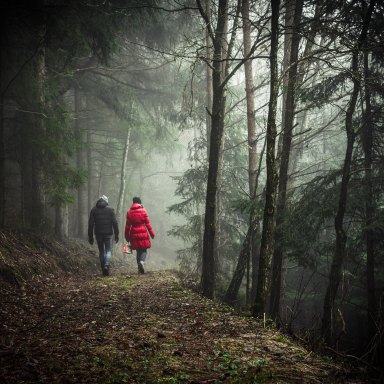 couple walking in the woods