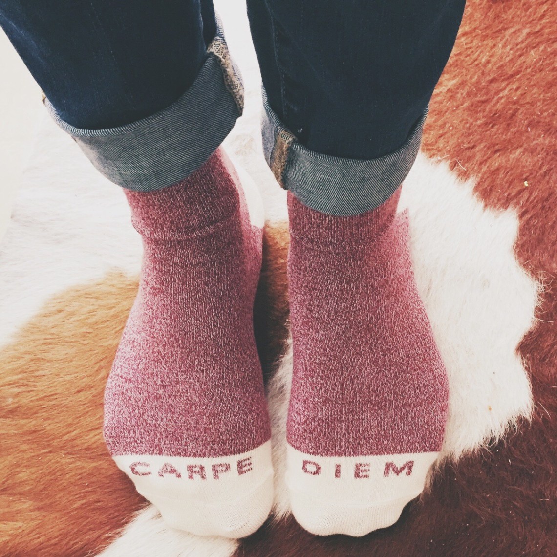 carpe diem socks