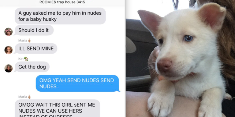 These Roommates Used Nudes To Buy A Puppy And It’s Hilariously Genius