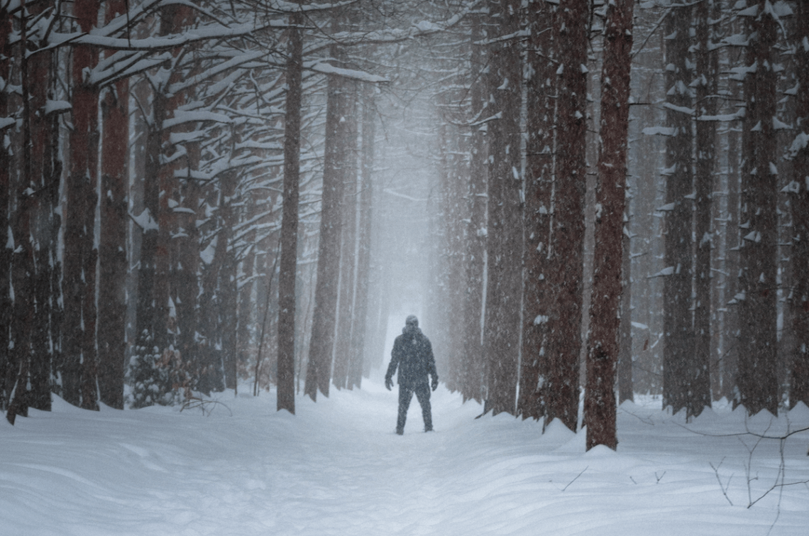 Freaks In The Woods: 17 True Stories Of Scary Encounters Deep In The Forest