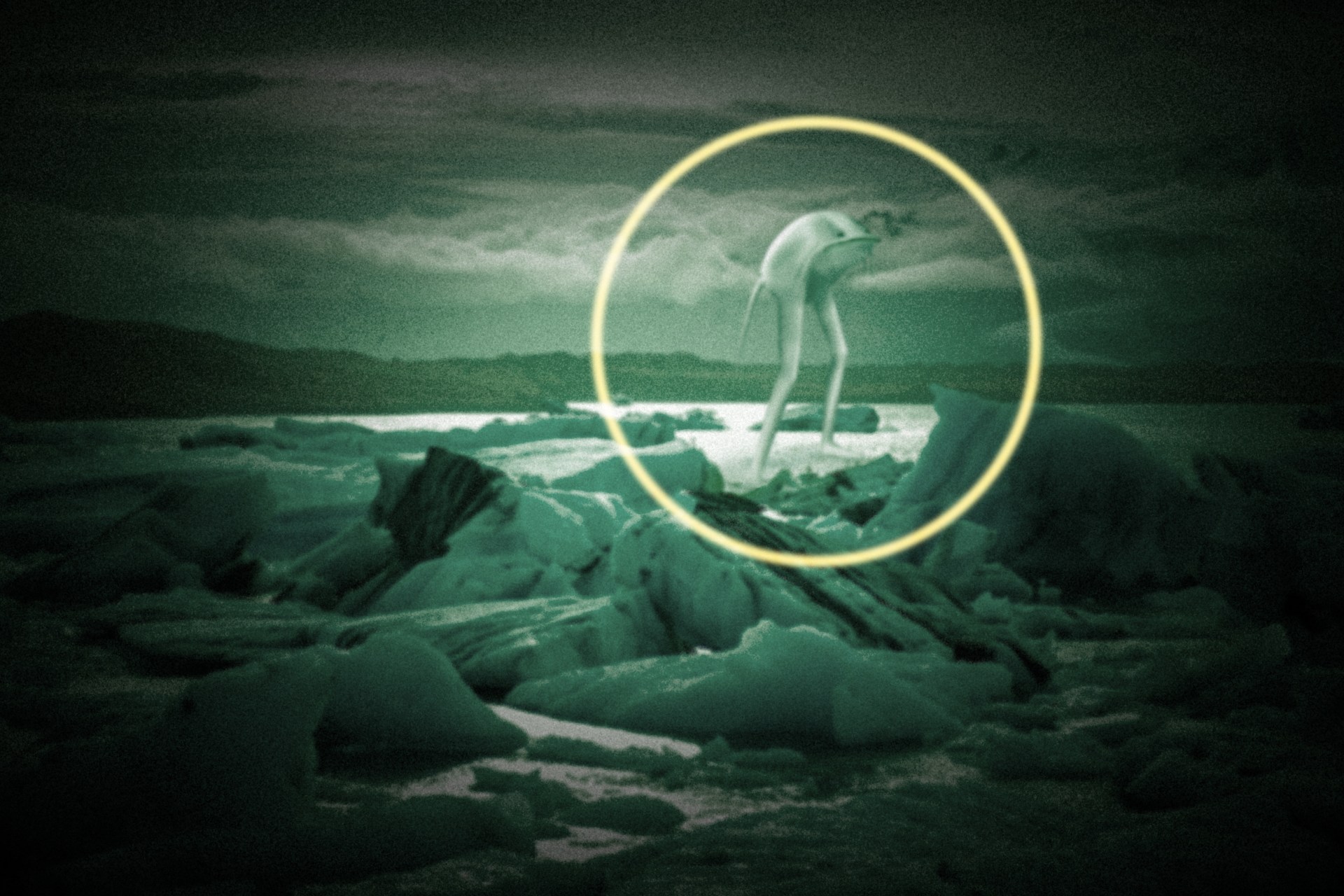 12 Facts About The Ningen, The Creepiest ‘Animal’ You’ve Never Heard Of