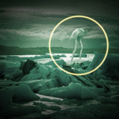 12 Facts About The Ningen, The Creepiest ‘Animal’ You’ve Never Heard Of