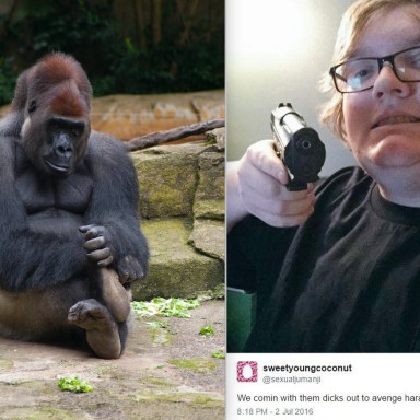 ‘Dicks Out For Harambe’: How One Of The Internet’s Most Viral Memes Became A Racist Alt-Right Statement