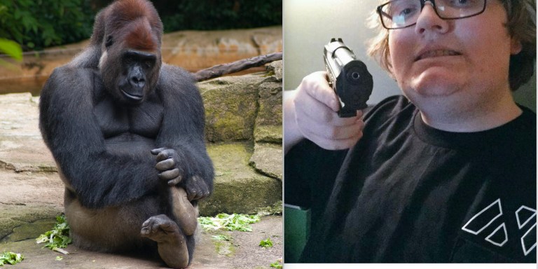 ‘Dicks Out For Harambe’: How One Of The Internet’s Most Viral Memes Became A Racist Alt-Right Statement