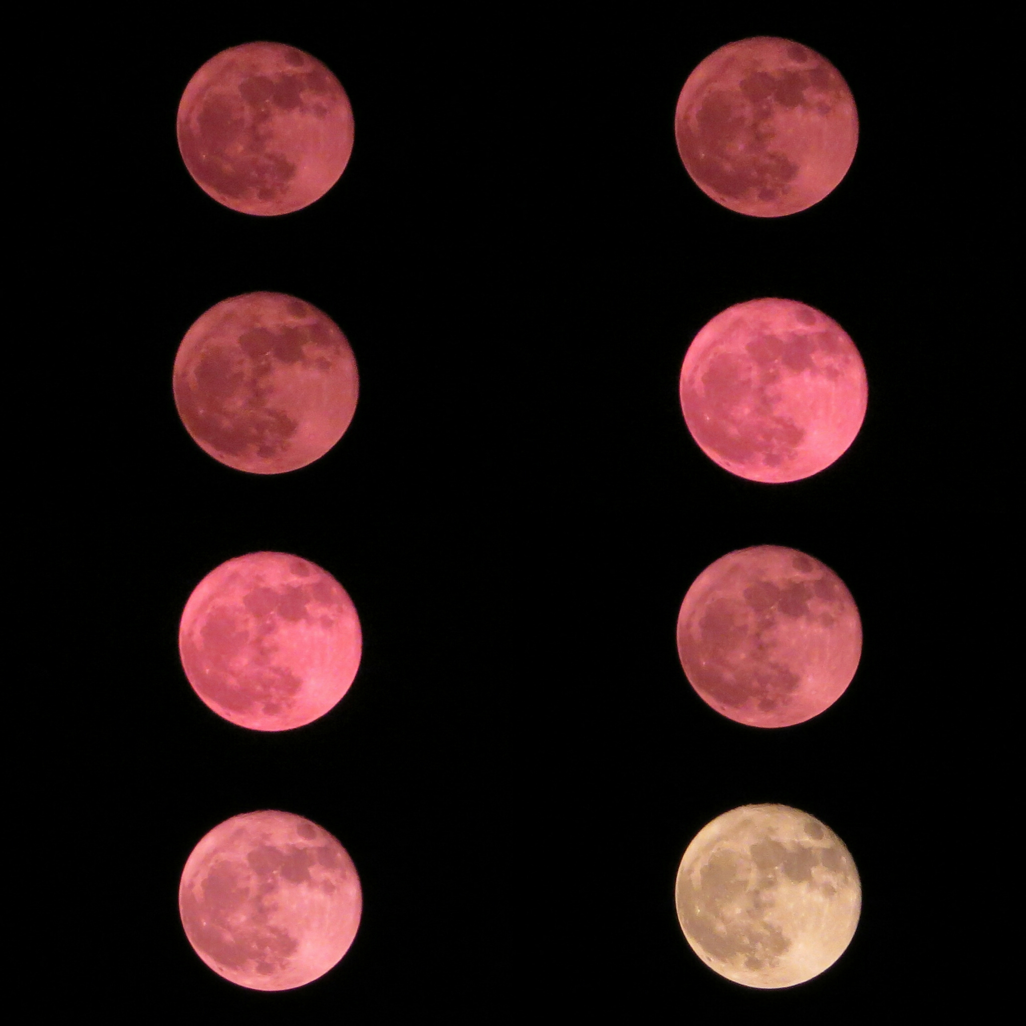 Here’s How June’s ‘Rose Moon’ Will Affect You Thought Catalog