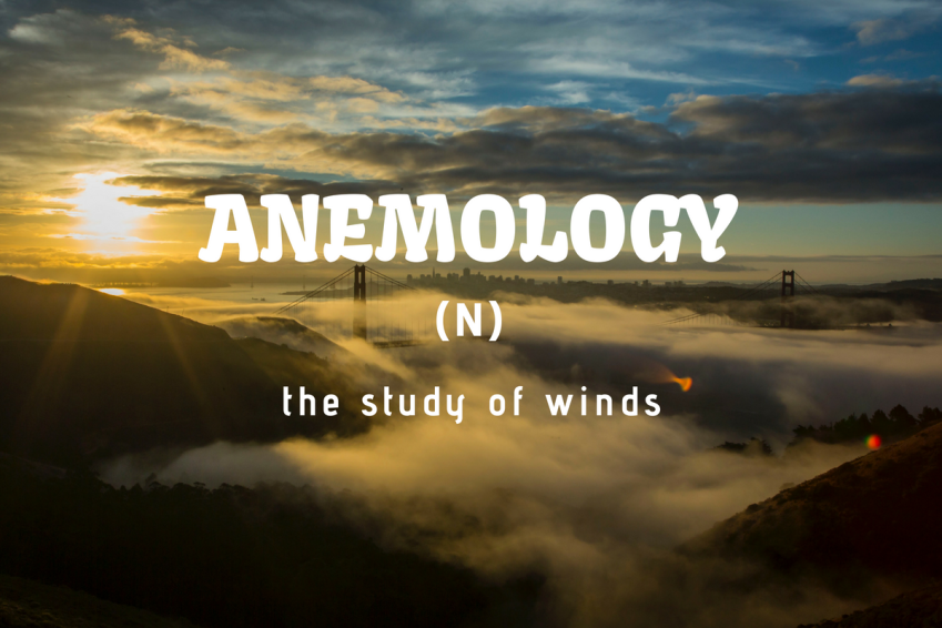50 Words That Start With A That Will Absolutely Amaze You