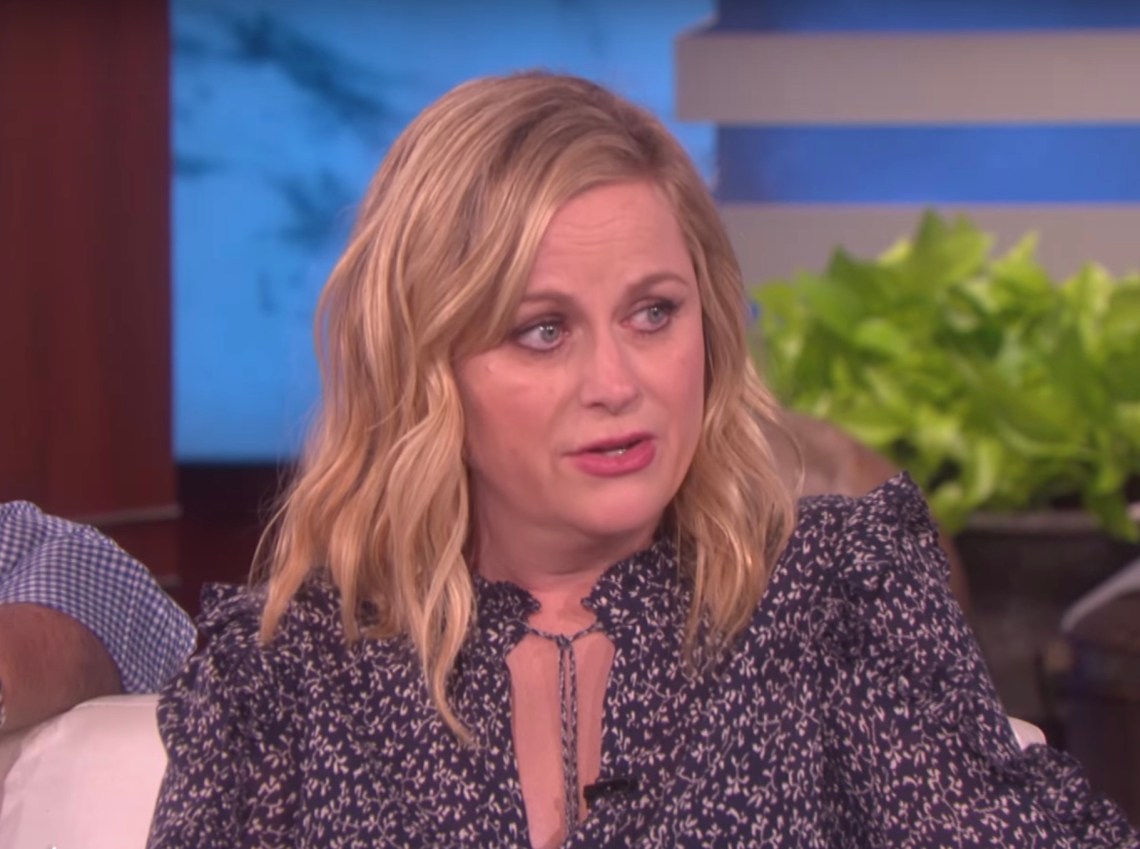 Amy Poehler Is The Hero The World Needs Right Now | Thought Catalog Amy Poehler Is The Hero The World Needs Right Now | Thought Catalog